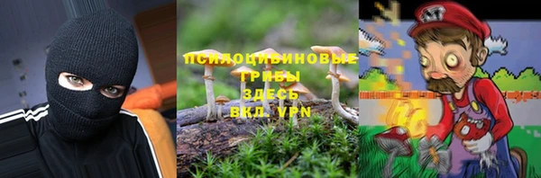 мдпв Майский