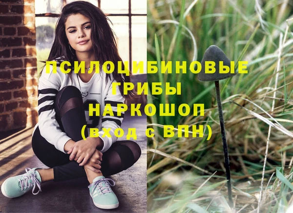 мдпв Майский