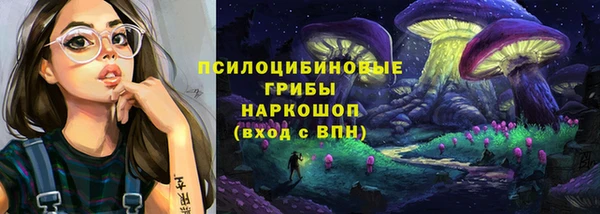 мдпв Майский